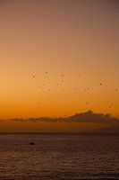 Segelboot bei Sonnenuntergang