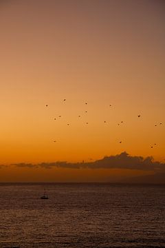 Zeilboot bij zondsondergang van LUNA Fotografie