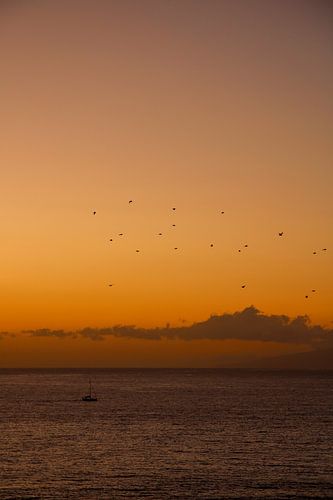Sailboat at sunset