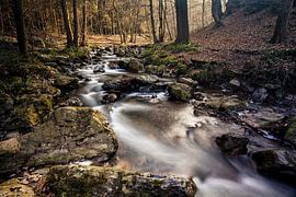 Ninglinspo Ardennes by Rob Boon