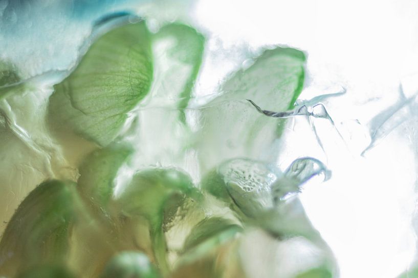 Lichtgroen Abstract | Fine Art Foto van Nanda Bussers