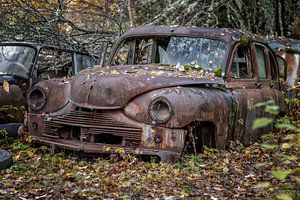 Rostige Hinterlassenschaften im Wald - Autofriedhof