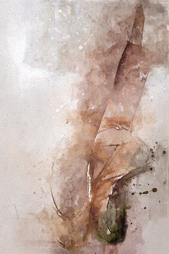 Danse 4 sur Silvia Creemers