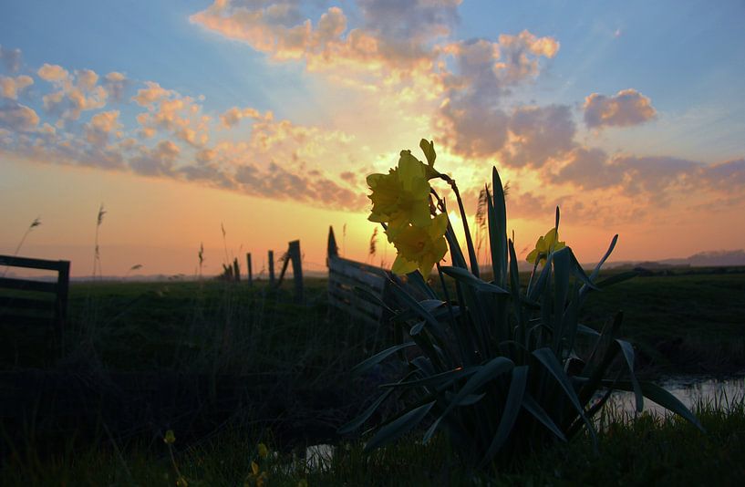 Texel Landschap 004 by Starworks:  LinaLena van der Star