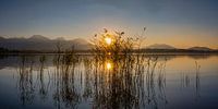 Sonnenuntergang, Hopfensee, Allgäu
