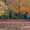 Fischerhäuschen im Herbst im Schlosspark Het Loo (1) von Jeroen de Jongh
