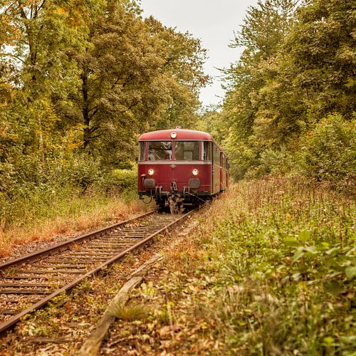 Railbus ZLSM tussen prachtige herfstkleuren