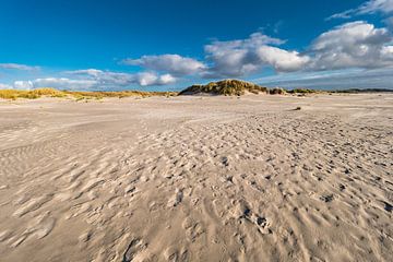 Dunes on the North Sea island Amrum van Rico Ködder