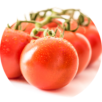 Macro rijpe sappige tomaten met waterdruppels van Dieter Walther