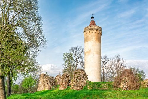 Schlossturm zu Bornsdorf von Johann Pavelka