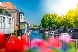 Lingehaven Gorinchem van Chris Poldervaart