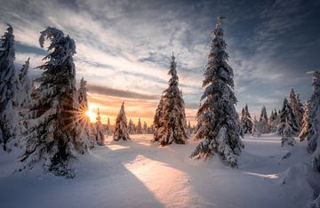 Winter wonderland in the Harz Mountains by Steffen Henze