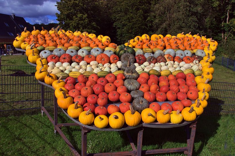 Vlinder pompoenen van Edgar Schermaul