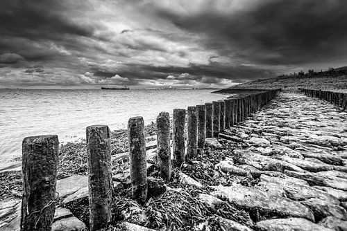 Entlang der Westerschelde