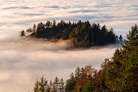 Sea of clouds