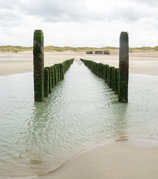 Wellenbrecher am Strand von Domburg von jimmy verhoeven