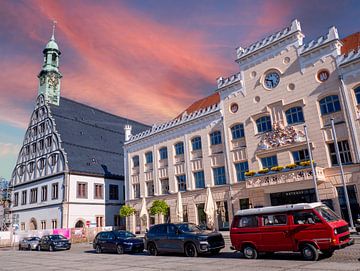 Theater en stadhuis in Zwickau, Duitsland van Animaflora PicsStock