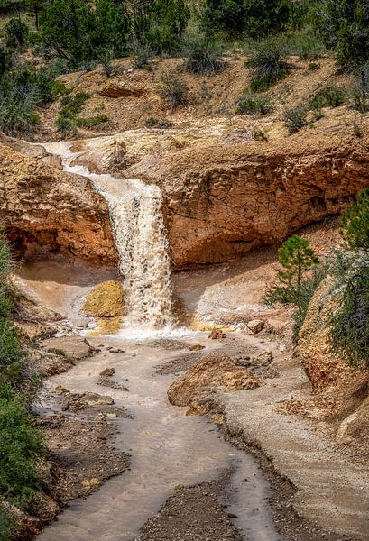 Rustikaler Bach von Guy Lambrechts Fotografie
