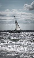 Sailing at sea