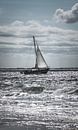 Sailing at sea van Katja • W thumbnail