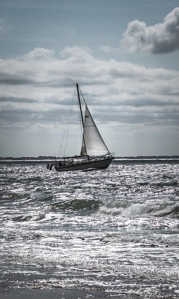 Sailing at sea van Katja • W