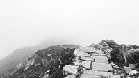 Dymond Hill Irlande