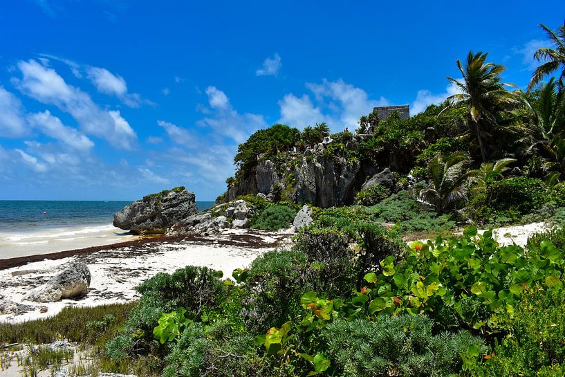 Wunderschöne Natur an den Maya Ruinen von Tulum von David Esser