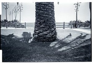 Santa Monica pier, Los Angeles, USA van Ruurd Dankloff