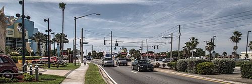 Florida XVII