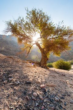 Dana Nationalpark Jordanien von Laura Vink