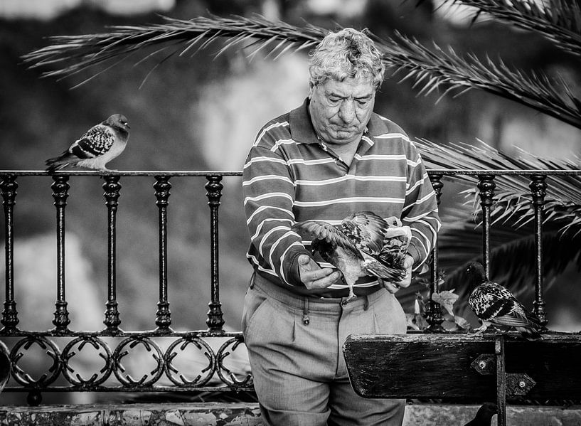 The pigeon man in his element by Emil Golshani