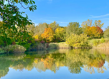 Herbstbäume am See