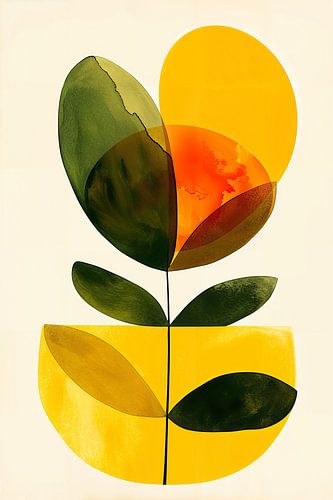 Plantes Décoration scandinave