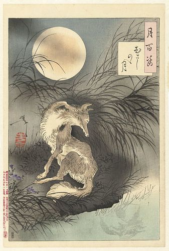 Maan van Musashi, Tsukioka Yoshitoshi, 1891