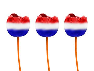 Tulpen Nederlandse vlag van Jessica Berendsen