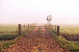 Boerenweg by Jordy Kortekaas