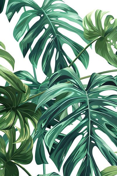 Monstera by Poster Art Shop