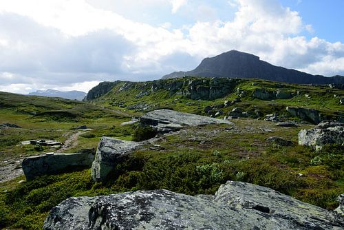 Ein Blick auf die erstaunliche und idyllische norwegische Landschaft. Herbstbild der Berge.