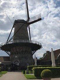 Molen sluis van tania mol