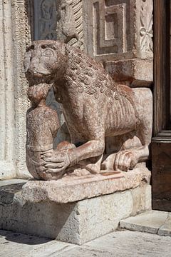 Lion in front of the door of San Rufino cathedral in Assisi, Italy by Joost Adriaanse