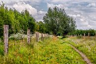 Meierijs landschap von jan van de ven Miniaturansicht