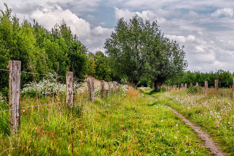 Meierijs landschap par jan van de ven