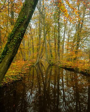 Autumn in Twente by Rene Wolf