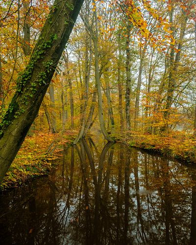 Herfst in Twente