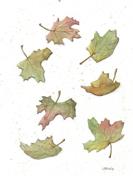 Feuilles d'automne par Sandra Steinke