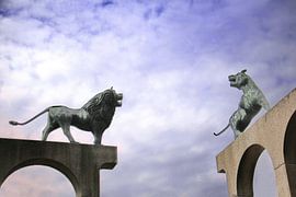 Tiger und Löwe von Henk Langerak