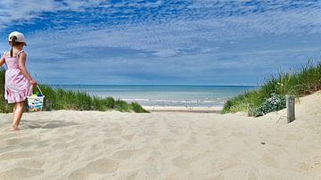 Naar strand! van Peter van Rijn