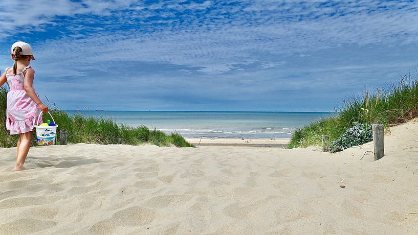 À la plage ! par Peter van Rijn