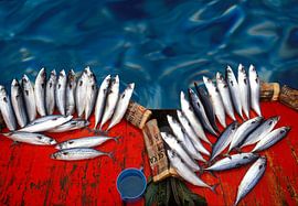 Fresh fish by Marcel van Balken