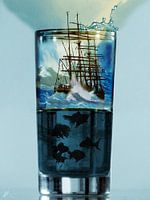 Storm in een glas water - H. Fischer